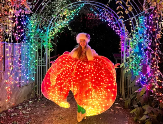 LED Flower