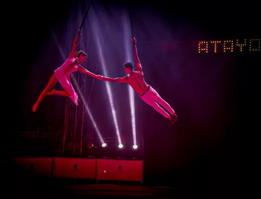 Aerial Straps Duo