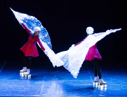 Roller Skating Show